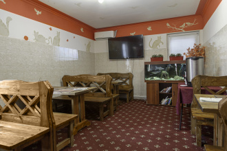 Home Hotel Внуково, фото 27