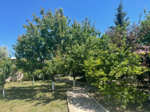 Константа, фото 21