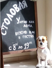 Отель Робинзон, фото 66