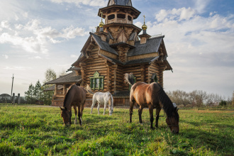 Гостиничный Комплекс Золото Алтая, фото 119