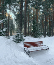 База Отдыха Загородный клуб Дача, фото 74