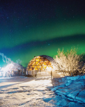 Отель Эко-отель Aurora village, фото 28 Отель Эко-отель Aurora village, фото 28