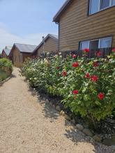 Апартаменты Holiday Home at Frunze, фото 24