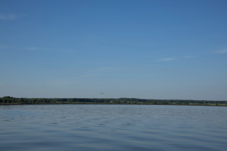 База Отдыха Загородный клуб Белая цапля, фото 30