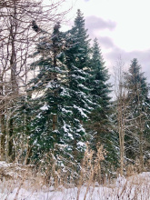 База отдыха Панорама, фото 45