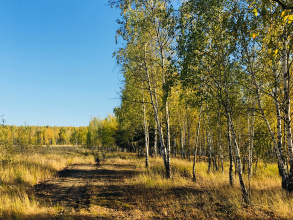 Загородный клуб Владимир, фото 47
