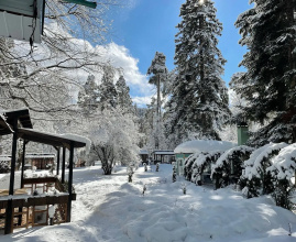 Отель Green Park Spa & Усадьба, фото 79 Отель Green Park Spa & Усадьба, фото 79