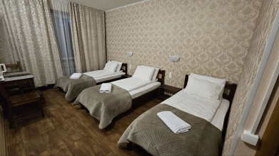Гостевой дом Шишкино-парк аэропорт Домодедово, фото 26