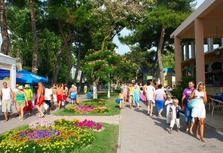 Гостевой дом Фиеста, фото 84