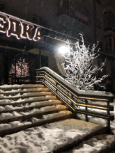 Отель ШВЕДКА, фото 144