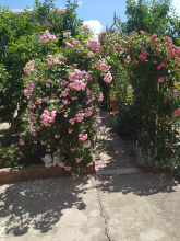 Гостевой Дом Елена, фото 57