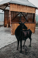 Гостевой Дом Eko House Kamchatka, фото 15 Гостевой Дом Eko House Kamchatka, фото 15