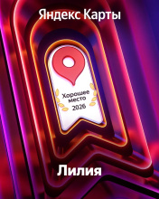 Гостевой Дом Лилия, фото 55