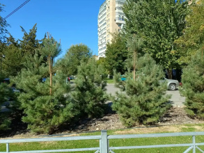 Хостел ГудЗон, фото 81
