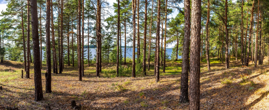 База Отдыха Афанасий, фото 31 База Отдыха Афанасий, фото 31