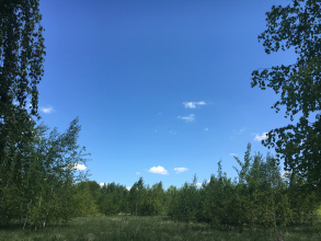 Загородный клуб Владимир, фото 41