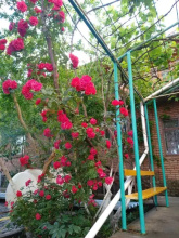 Гостевой дом Ясин, фото 21
