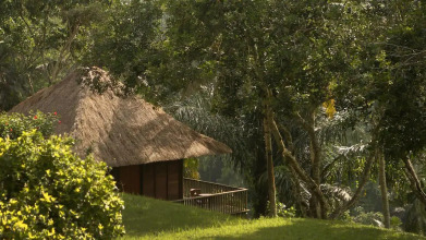 Alila Ubud