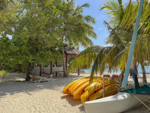 Malahini Kuda Bandos
