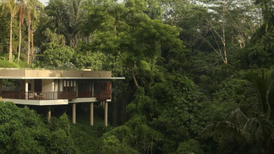 Alila Ubud