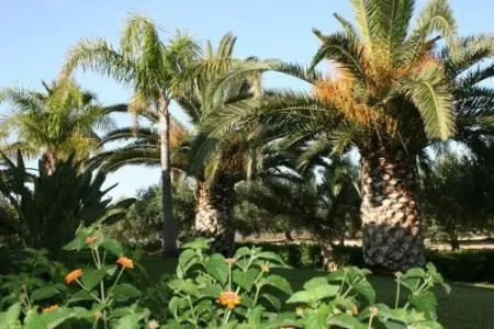 Miniatuur