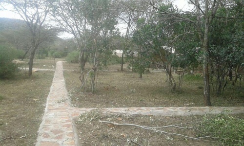 Outside