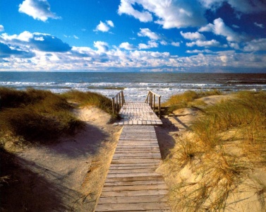 Beach
