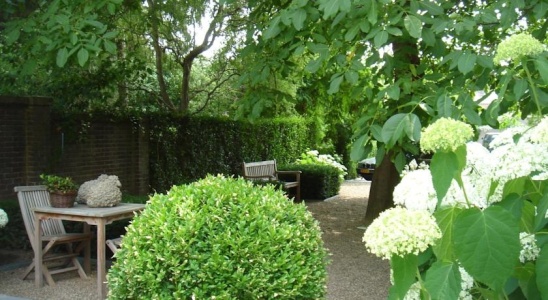 Outside