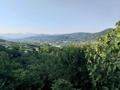 Outside