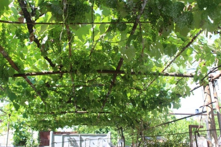 Outside