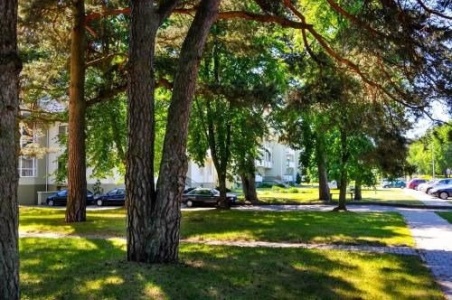 Outside