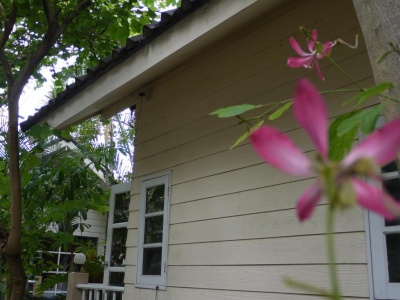 Outside