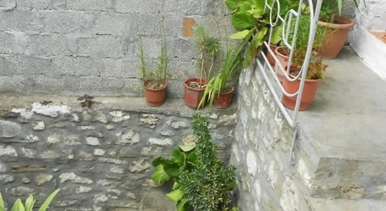 Outside