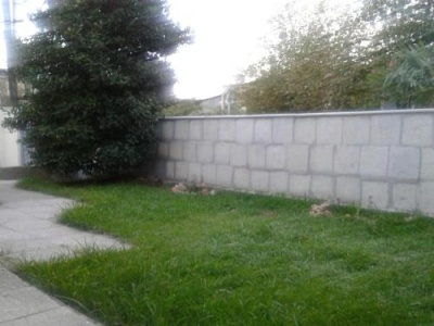 Outside