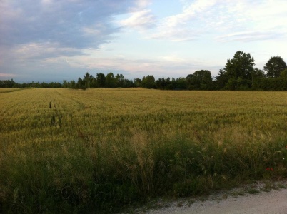 Outside