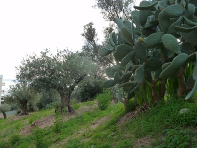 Outside