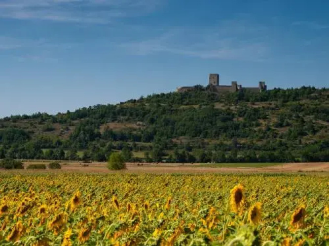 Chambres d’Hôtes Horizons Verts