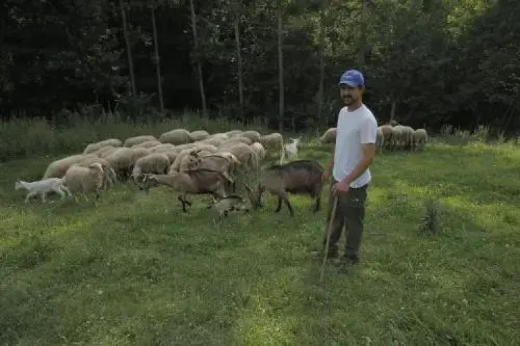 I Pascoli Di Amaltea