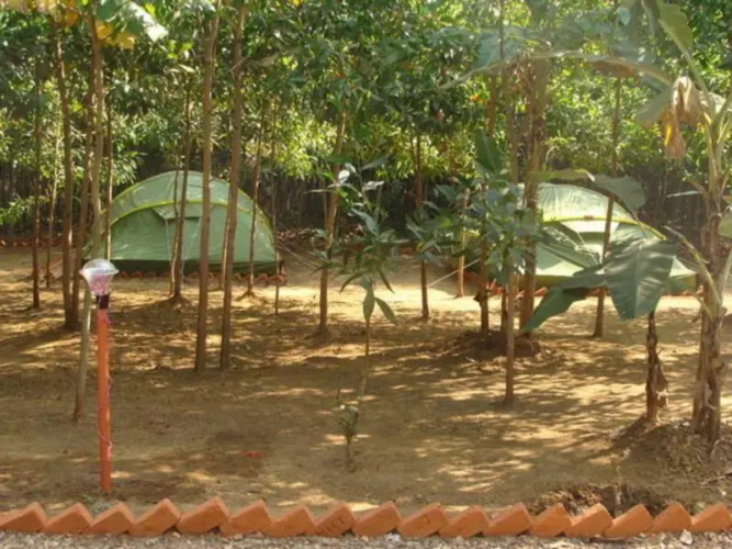 Dandeli Camps