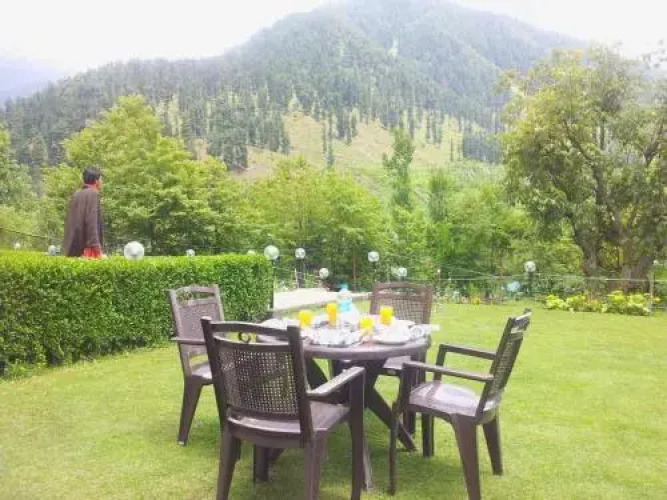 Forest Hill Resorts