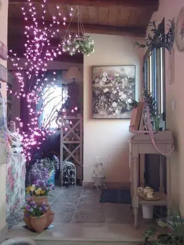 Fiori E Coccole