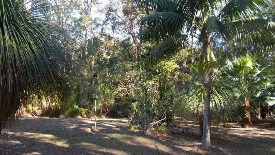 SWR Rainforest Retreat 1