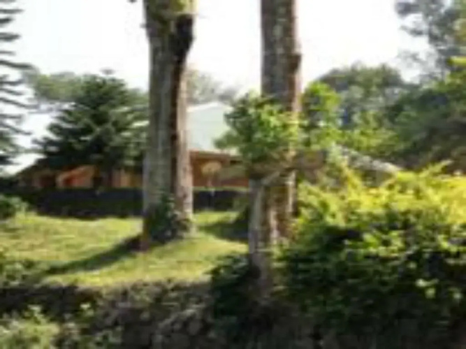 Morley's Place