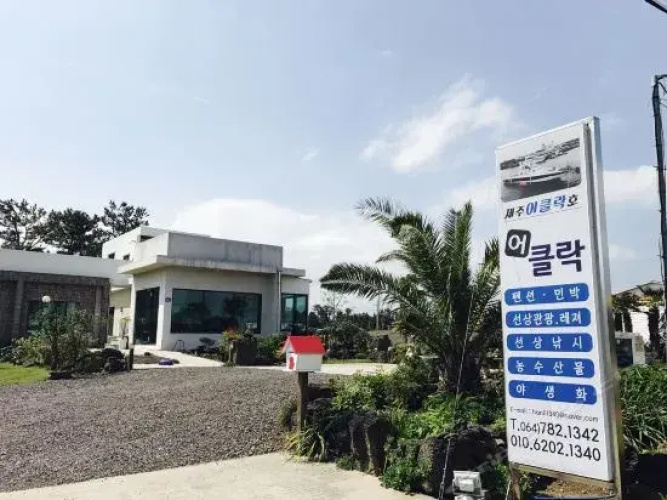 Seogwipo o Clock Pension