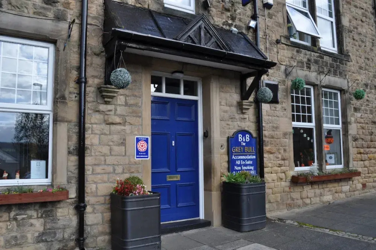 The Grey Bull