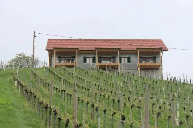 Winzerhaus am Gamlitzberg