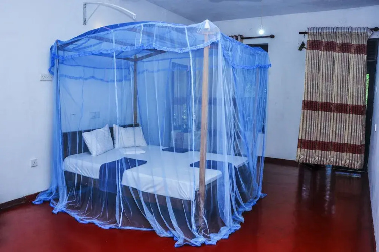 Tamasha Mango House