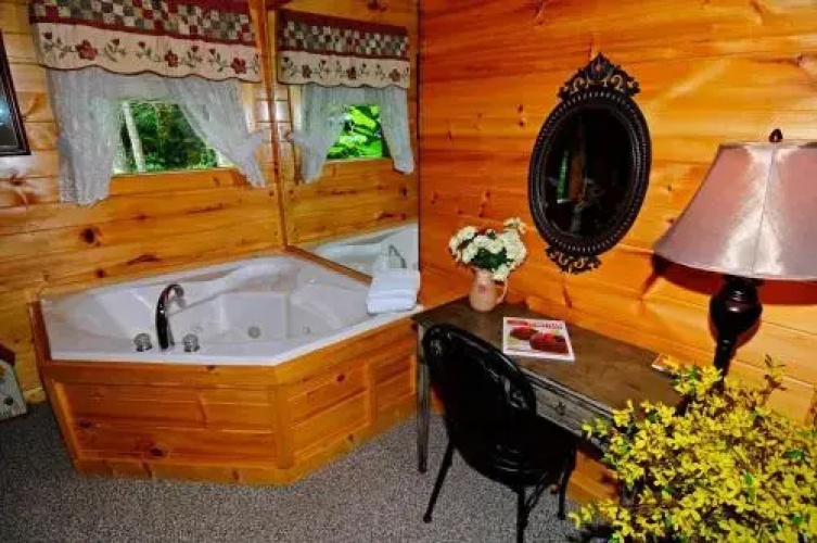 2061 Say It With Love - 1 Br Cabin