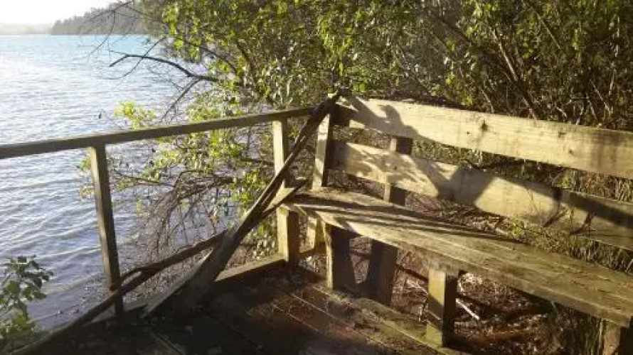 Kingfisher Cabin