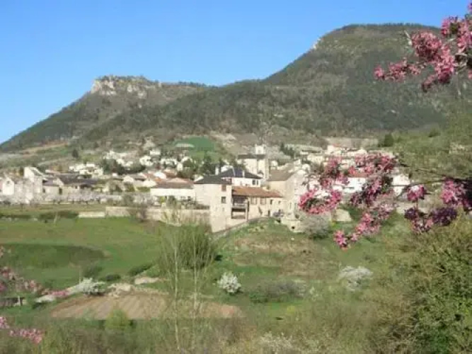 Les Fleurs De Marie